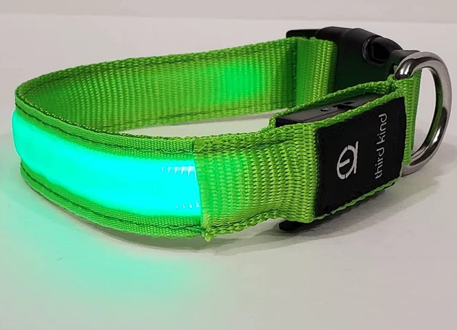 Lighted Dog Collar LED Rechargeable